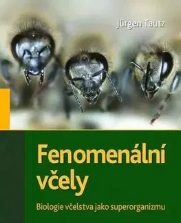 Hmyz Fenomenální včely, 4. vydání - Jürgen Tautz