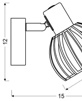 Nástenné svetlá Nástenná bodová lampa ATARRI Candellux
