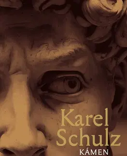 Historické romány Kámen a bolest - Karel Schulz