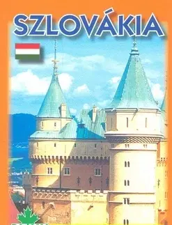 Slovensko a Česká republika TS D Slovensko - maď. - Daniel Kollár