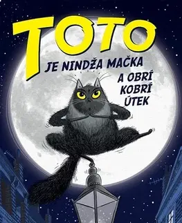 Humor a satira Toto je nindža mačka a obrí kobrí útek - Dermot O Leary