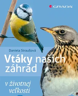 Príroda Vtáky našich záhrad - Daniela Straußová