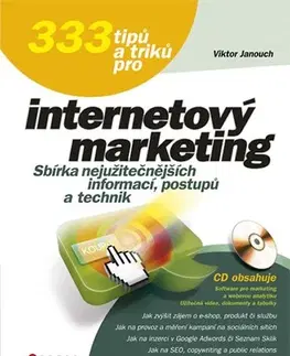 Internet, e-mail 333 tipů a triků pro internetový marketi - Viktor Janouch