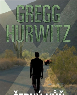 Detektívky, trilery, horory Černý kůň - Gregg Hurwitz