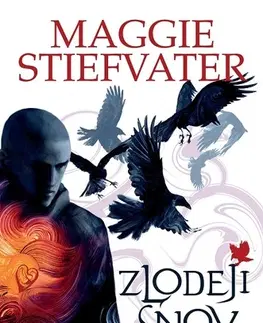 Young adults Zlodeji snov - Maggie Stiefvater