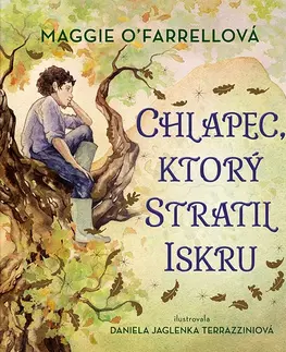 Rozprávky Chlapec, ktorý stratil iskru - Maggie O´Farrell,Daniela Jaglenka Terrazzini,Katarína Ostricová