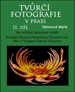 Foto, video, audio, mobil, hry Tvůrčí fotografie v praxi 2. díl - Marie Němcová