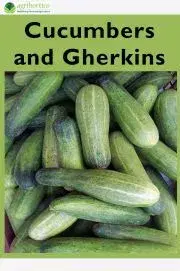 Hobby - ostatné Cucumbers and Gherkins