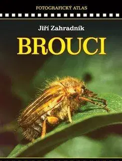 Biológia, fauna a flóra Brouci - fotografický atlas - Jiří Zahradnik