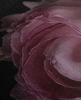 Obrazy kvetov Obraz kytica kvetov v detailnom zábere