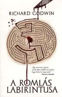 Detektívky, trilery, horory A romlás labirintusa - Richard Godwin