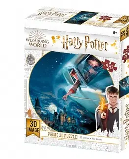 3D puzzle 3D puzzle Harry Potter: Harry a Ron nad Rokfortom 300 dielikov
