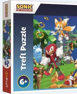 Hračky puzzle TREFL - Puzzle Sonic a priatelia/Sonic The Hedgehog 160 dielikov