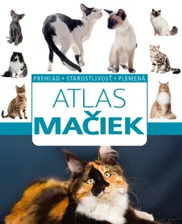 Mačky Atlas mačiek