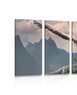 Obrazy zvierat 5-dielny obraz orol s roztiahnutými krídlami nad horami