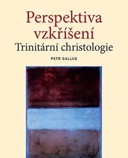 Kresťanstvo Perspektiva vzkříšení - Petr Gallus