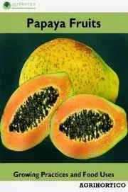 Hobby - ostatné Papaya Fruits