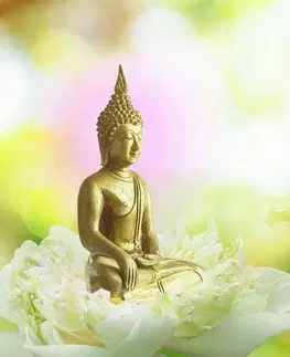 Samolepiace tapety Samolepiaca tapeta harmónia budhizmu