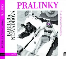 Audioknihy Motto Pralinky CD