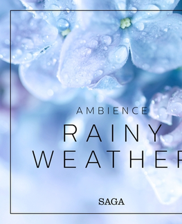 Duchovný rozvoj Saga Egmont Ambience - Rainy Weather (EN)
