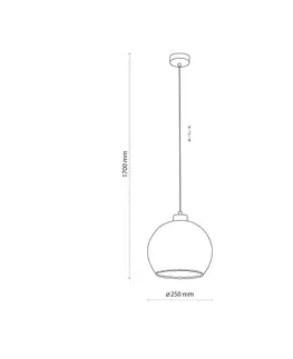 Závesné svietidlá TK Lighting Závesné svetlo Devi, transparentné, jedno svetlo, Ø 25 cm