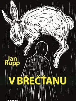 Česká beletria V břečťanu - Jan Rupp