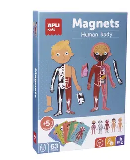 Magnetické hry APLI APLI Krabička s magnetmi -Ľudské telo