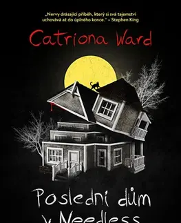 Detektívky, trilery, horory Poslední dům na Needless Street - Catriona Ward