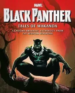 Sci-fi a fantasy Black Panther: Tales of Wakanda - Kolektív autorov