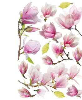 Samolepky na stenu Samolepiaca dekorácia Magnolia Flowers, 42,5 x 65 cm