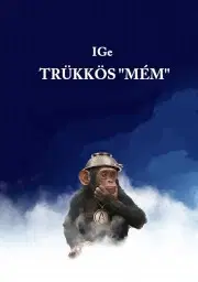 Filozofia Trükkös Mém - IGe