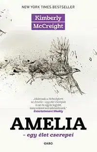 Beletria - ostatné Amélia - Kimberly McCreight