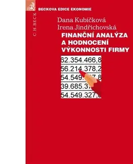 Financie, finančný trh, investovanie Finanční analýza a hodnocení výkonnosti firem - Dana Kubíčková,Irena Jindřichovská