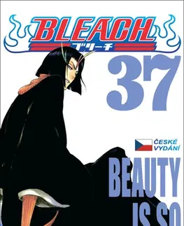 Manga Bleach 37 (české vydání) - Kubo Tite