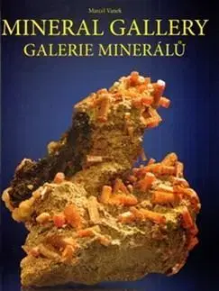 Geografia, geológia, mineralógia Galerie minerálů - Marcel Vanek