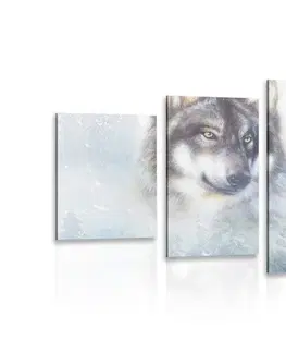 Obrazy zvierat 5-dielny obraz vlk v zasneženej krajine
