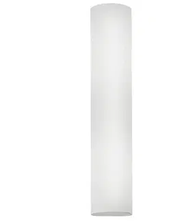 Nástenné svietidlá EGLO Jednoduché nástenné svietidlo Zena, výška 39 cm