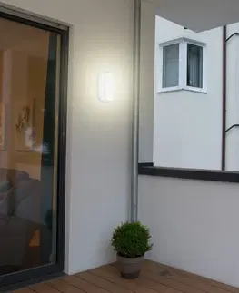Stropné svietidlá Müller-Licht Bulkhead oválne stropné LED svietidlo