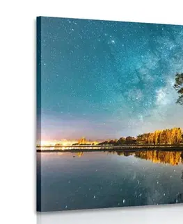 Obrazy prírody a krajiny Obraz strom pod hviezdnou oblohou