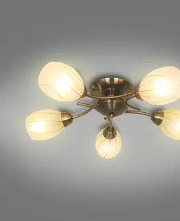 Lampy do obývačky Luster  CL16173-5 PL5