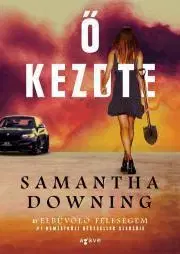 Detektívky, trilery, horory Ő kezdte - Samantha Downing
