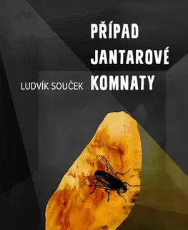 Sci-fi a fantasy Případ Jantarové komnaty - Ludvík Souček