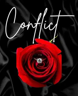 Romantická beletria Conflict - Michaela Brnková