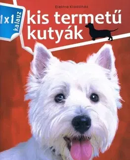 Psy, kynológia Kis termetű kutyák - 1x1 kalauz - István Bernáth