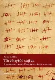Politológia Törvénytől sújtva - Mária H. Kovács