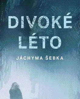 Česká beletria Divoké léto Jáchyma Šebka - Eva Bešťáková