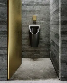 Kúpeľňa GSI - COMMUNITY urinál so zakrytým prívodom vody 31x65cm, čierna mat 909726