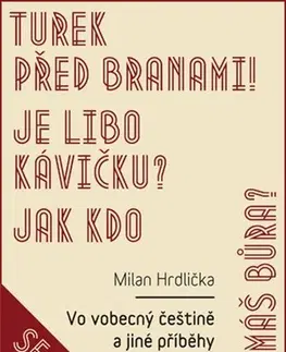 Učebnice - ostatné Vo vobecný češtině a jiné příběhy - Milan Hrdlička
