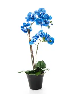 Vonkajšie osvetlenie Modrá orchidea