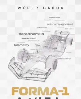 F1, automobilové preteky Forma-1 A-tól Z-ig - F1 és autósport kisenciklopédia - Gábor Wéber